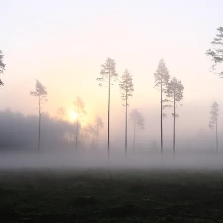 Haudamaee Puhkemaja Meelva