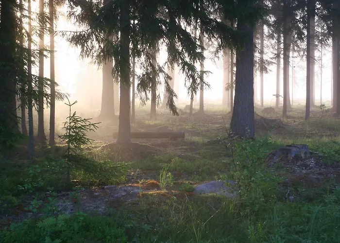 Puhkemaja Haudamäe Puhkemaja *