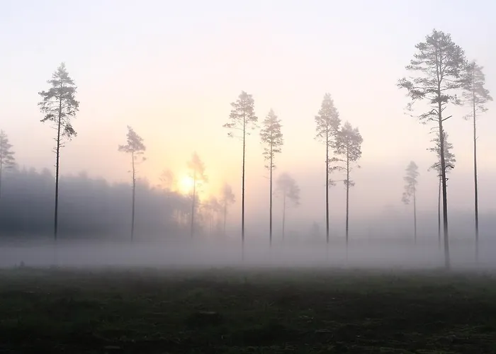 Haudamäe Puhkemaja Meelva